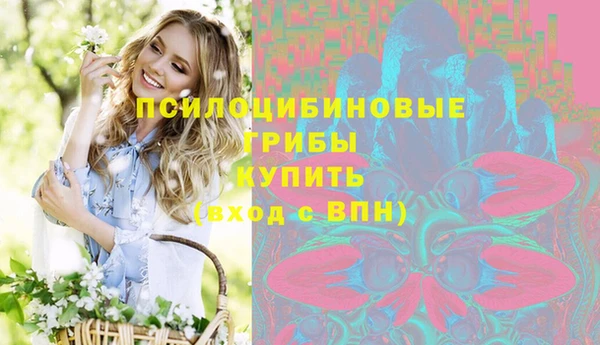 Альфа ПВП Балабаново
