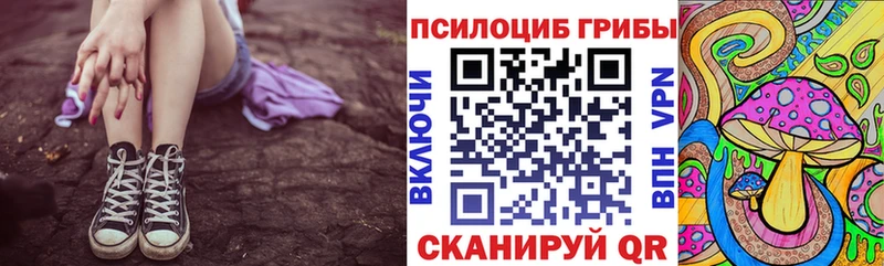 как найти наркотики  Чайковский  Псилоцибиновые грибы Psilocybe 