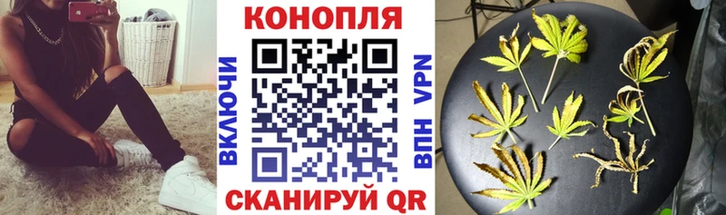 мега ссылка  купить наркоту  Чайковский  Шишки марихуана семена 